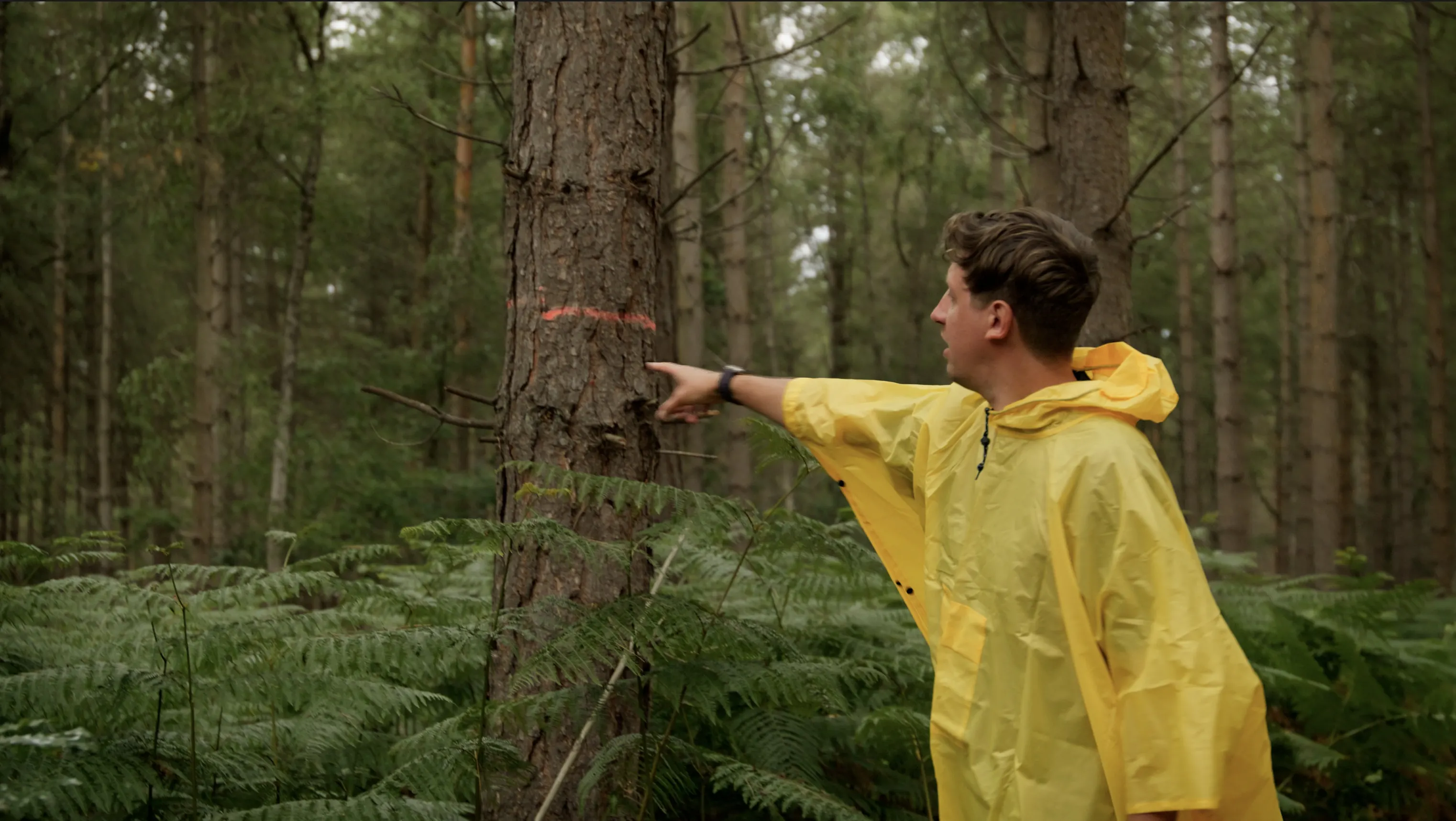 Mark G Smith as Peter points at an orange mark painted on a tree
